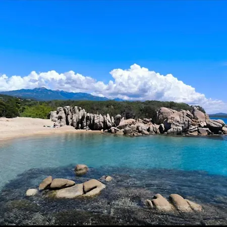 Avec Piscine 3 Etoiles Proche Plages * Monacia-d'Aullene