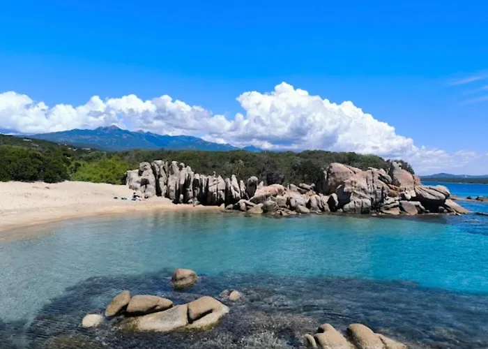 Avec Piscine 3 Etoiles Proche Plages * Monacia-d'Aullene